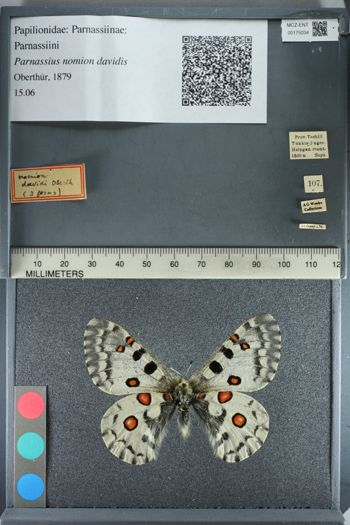 Media type: image;   Entomology 175034